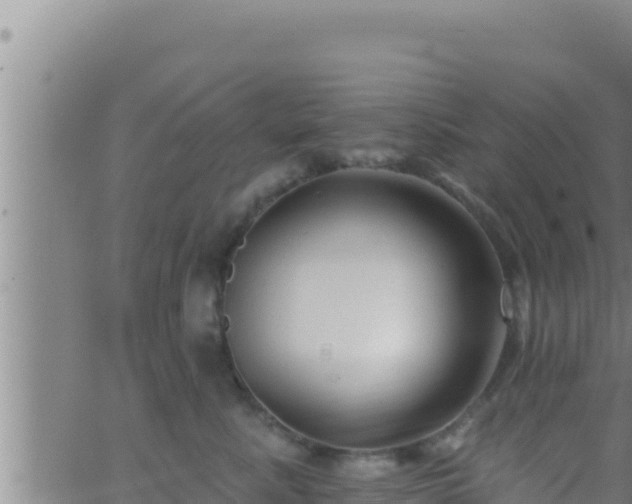 X0000062910619200601201938