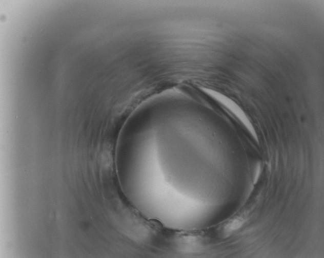 X0000062910620200601201938