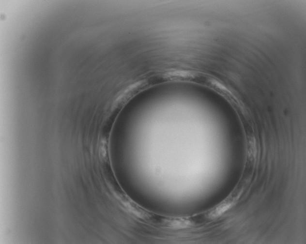 X0000062910621200601201938