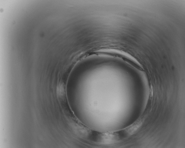 X0000062910623200601201938