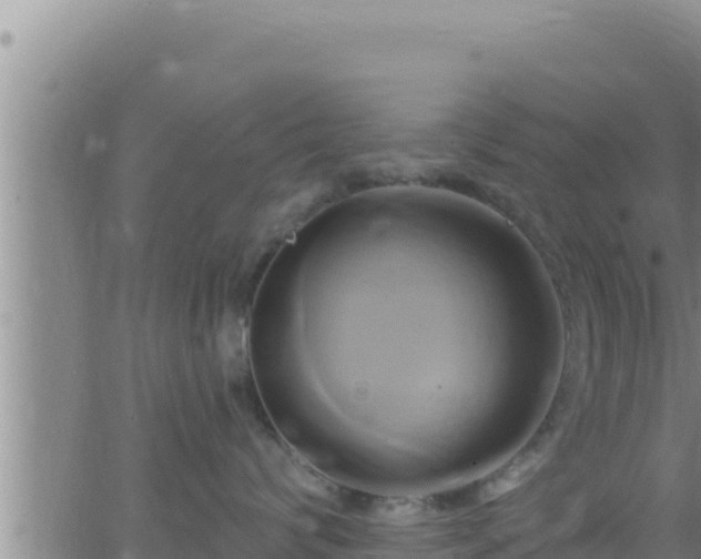 X0000062910624200601201938