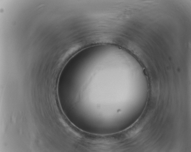 X0000062910625200601201937