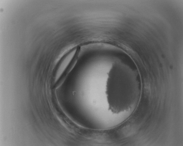 X0000062910626200601201937