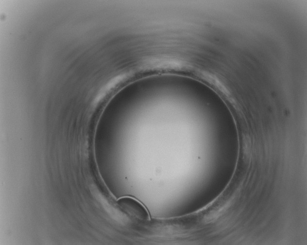 X0000062910629200601201937