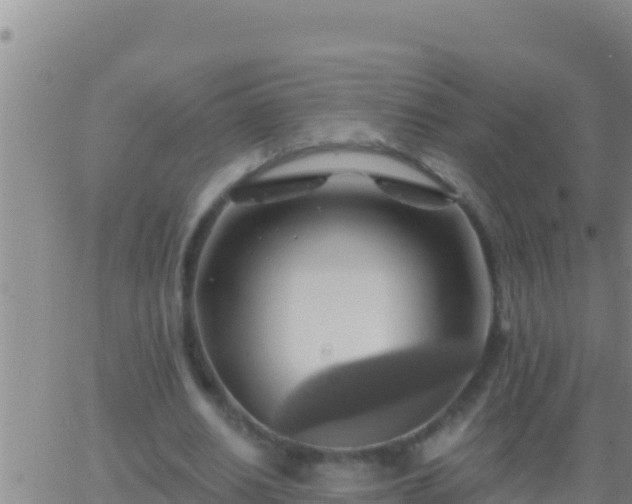 X0000062910630200601201937