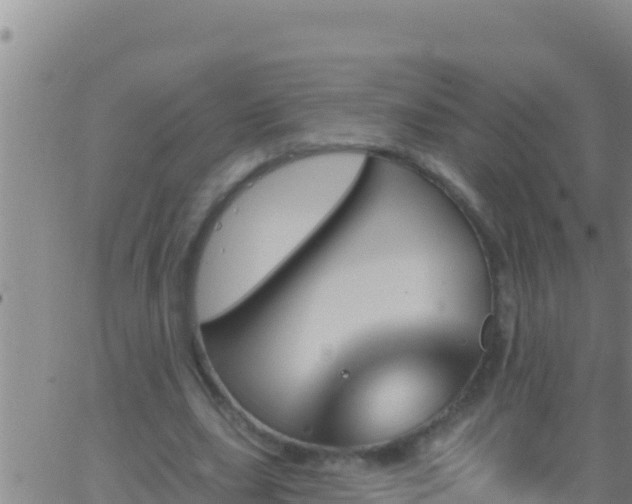 X0000062910631200601201937