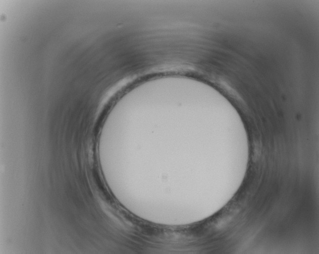 X0000062910632200601201937