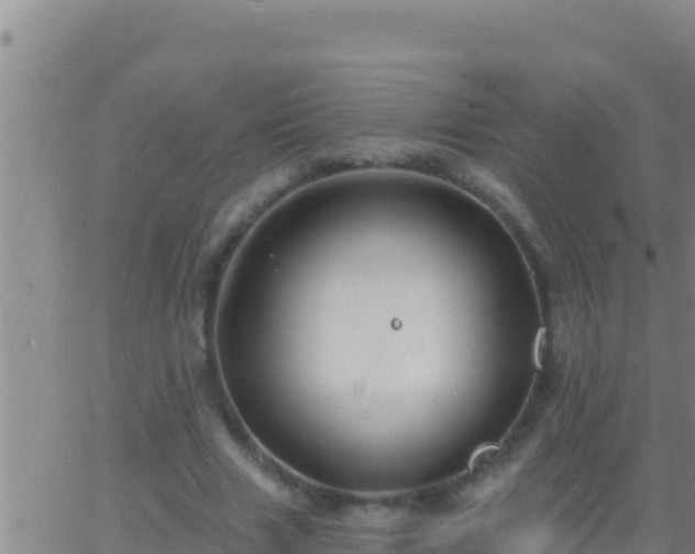 X0000062910633200601201937