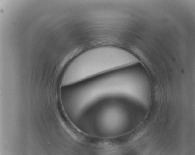 X0000062910634200601201937