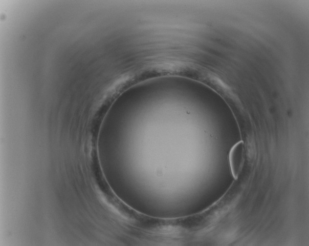 X0000062910637200601201937