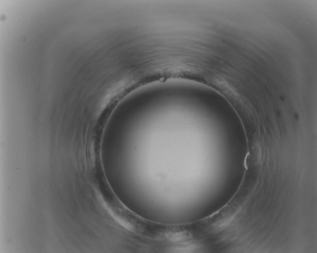 X0000062910638200601201937