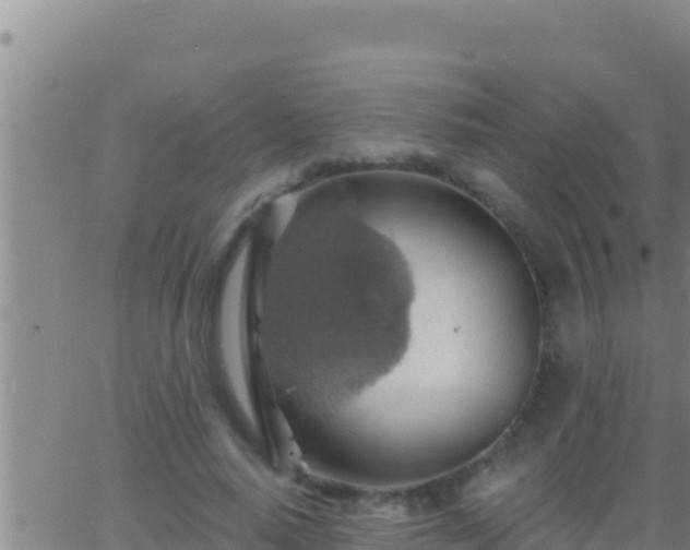 X0000062910640200601201937