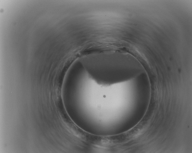 X0000062910641200601201937