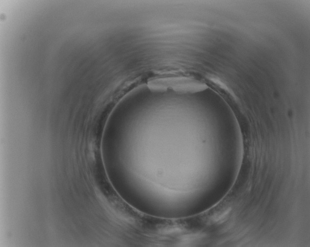 X0000062910643200601201937