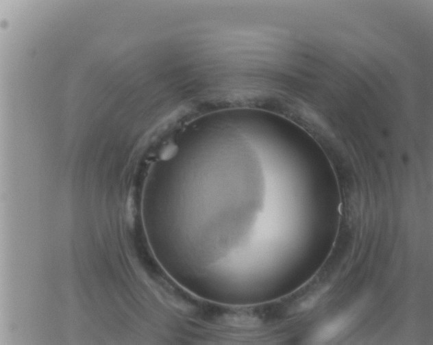 X0000062910644200601201937