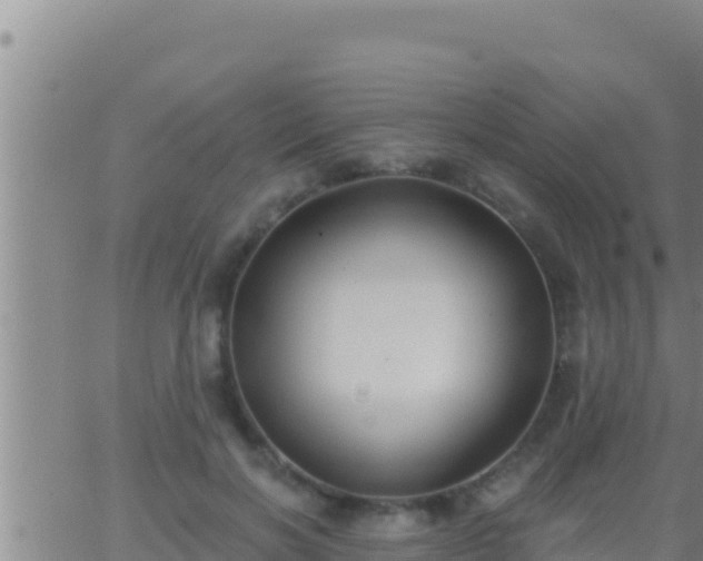 X0000062910646200601201937