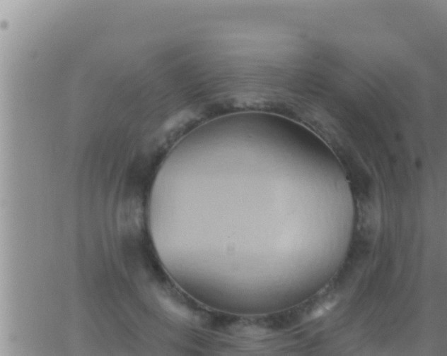 X0000062910648200601201937