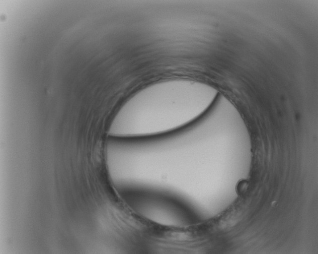 X0000062910649200601201937