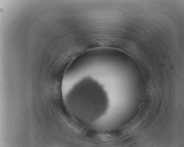 X0000062910650200601201937