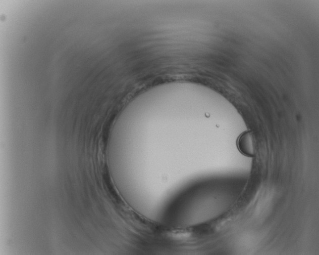 X0000062910651200601201937