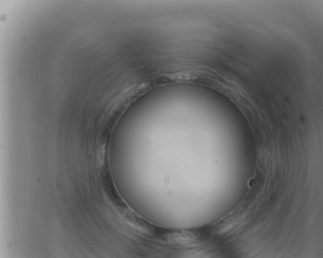 X0000062910652200601201937