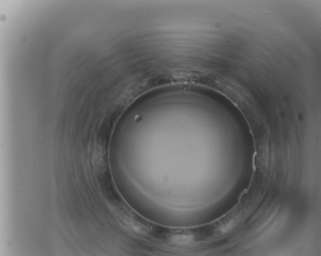 X0000062910653200601201937