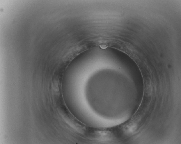 X0000062910654200601201937