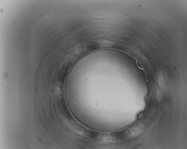 X0000062910655200601201937