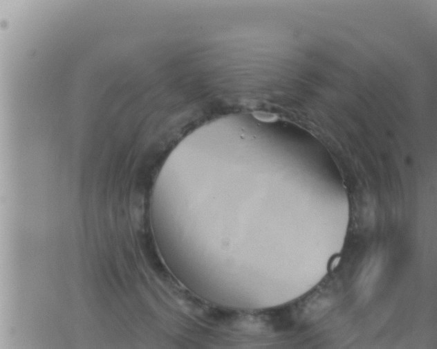 X0000062910656200601201937