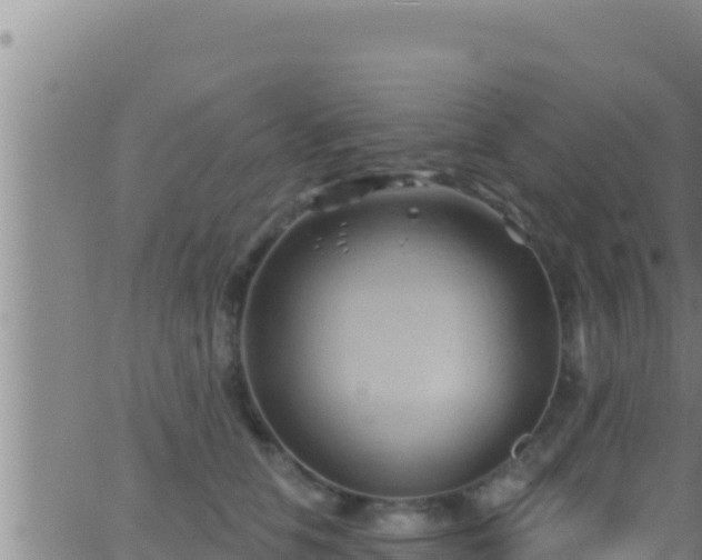 X0000062910658200601201937