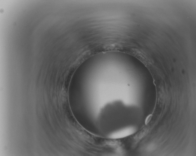 X0000062910659200601201937