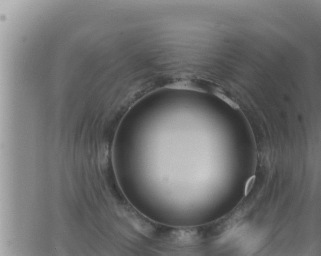 X0000062910660200601201937