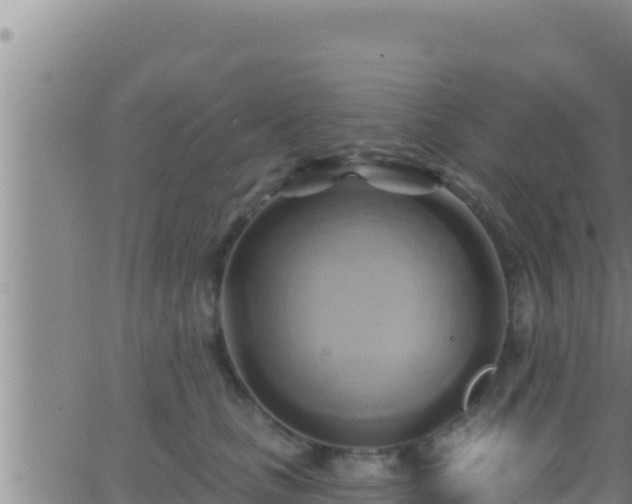 X0000062910661200601201937