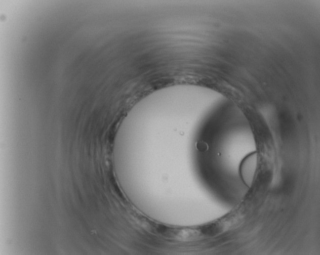 X0000062910663200601201938