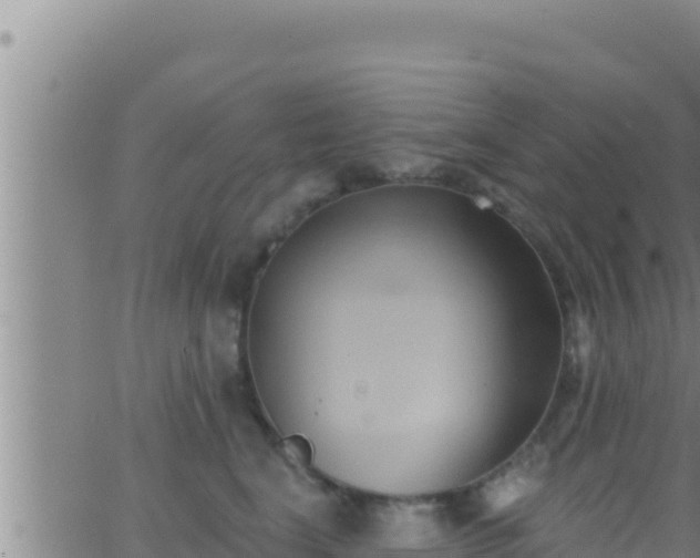 X0000062910664200601201938