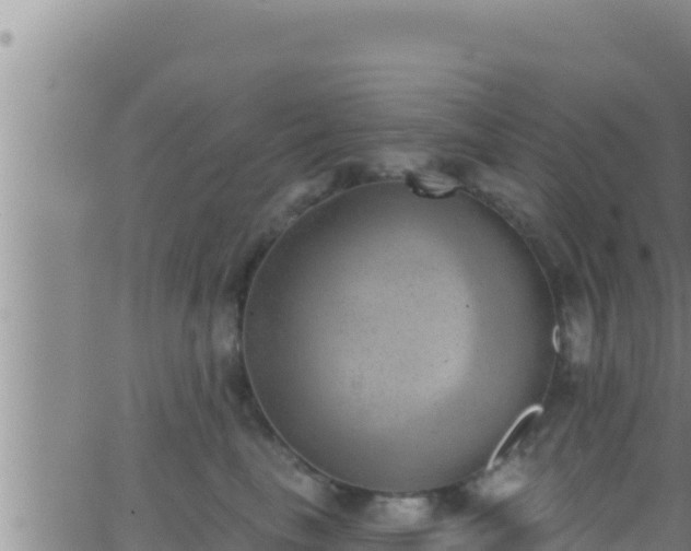 X0000062910665200601201938