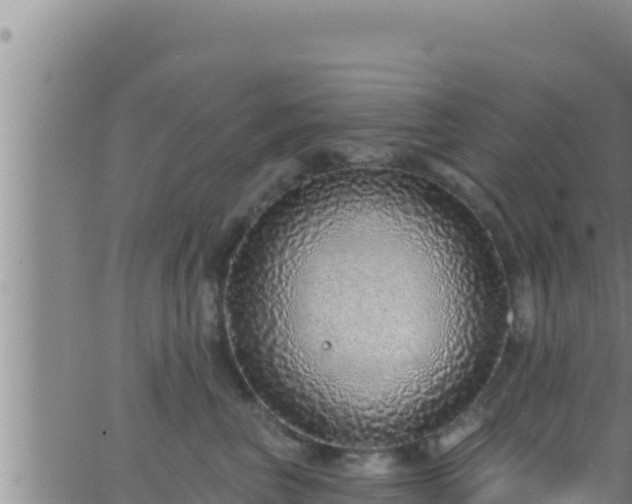 X0000062910667200601201938