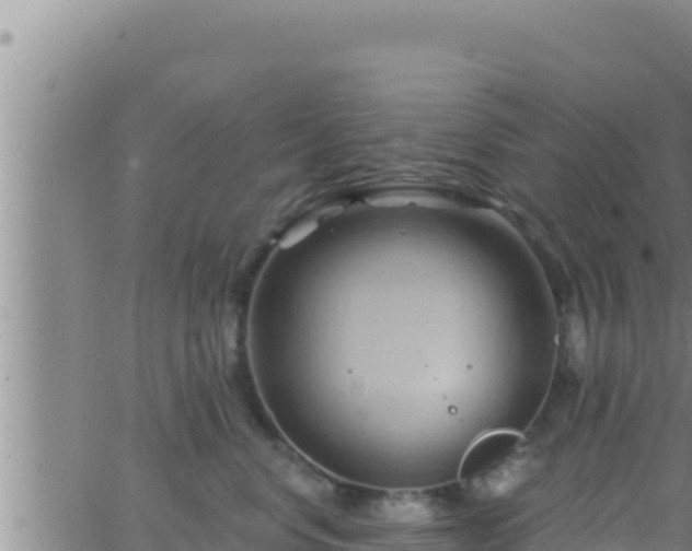 X0000062910668200601201938