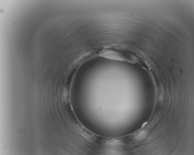 X0000062910669200601201938