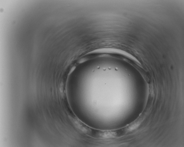 X0000062910670200601201938