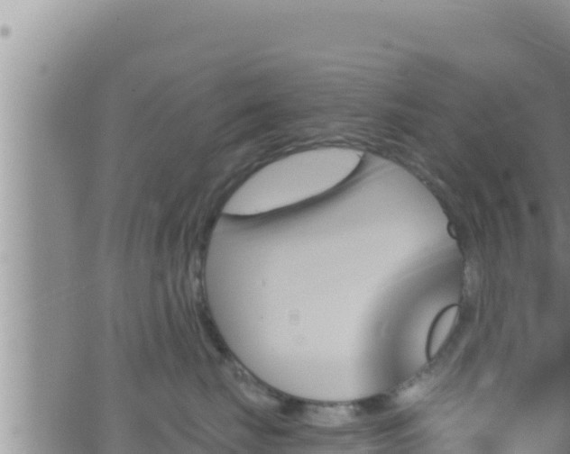 X0000062910671200601201938