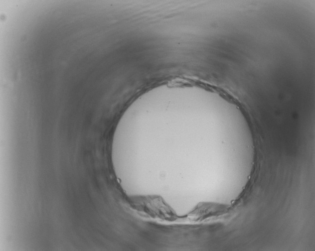 X0000062910672200601201938