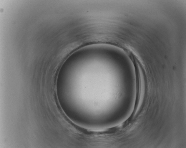 X0000062910673200601201937