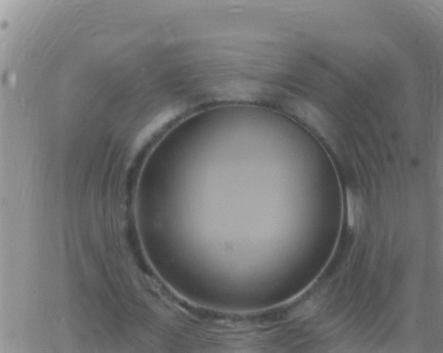 X0000062910675200601201937