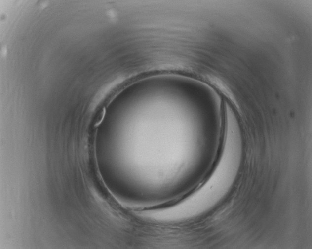 X0000062910676200601201937