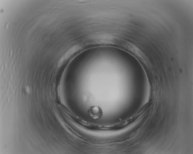 X0000062910677200601201937