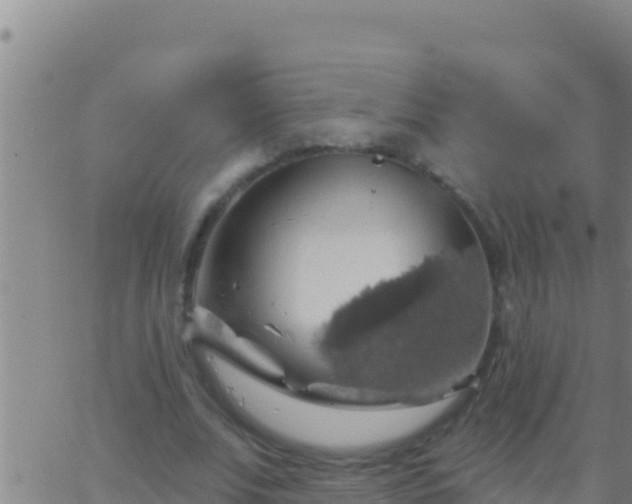 X0000062910679200601201937