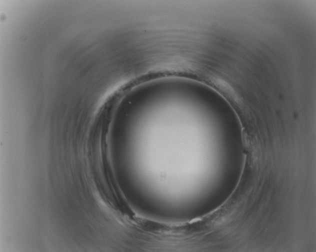 X0000062910680200601201937