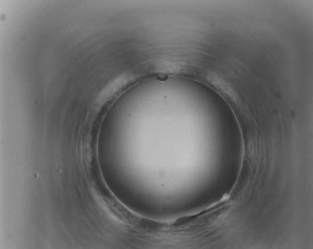 X0000062910682200601201937