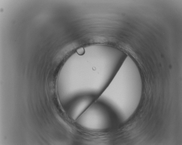 X0000062910683200601201937